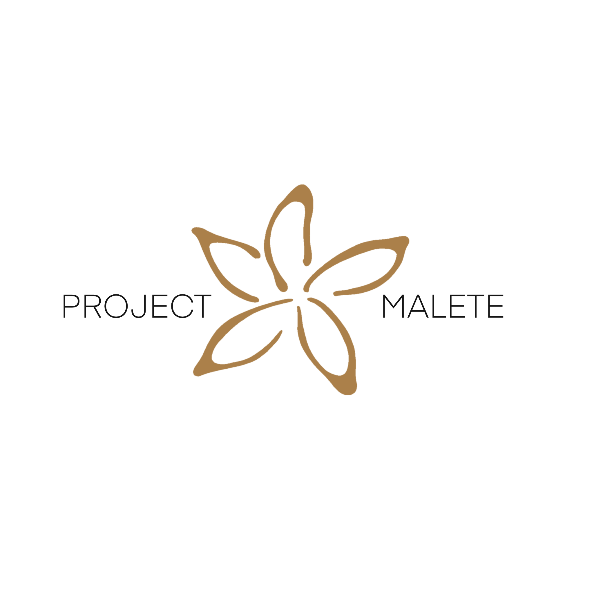 ProjectMalete
